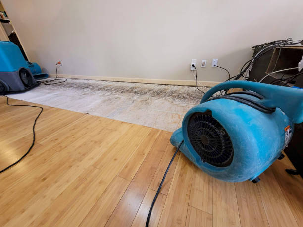 Professional Sewage Cleanup technician working in Chesterfield, IN